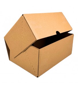ΧΑΡΤΟΚΙΒΩΤΙΟ E-SHOP 25x16x10 cm ΚΡΑΦΤ 50 ΤΕΜΑΧΙΑ