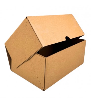 ΧΑΡΤΟΚΙΒΩΤΙΟ E-SHOP 25x16x10 cm ΚΡΑΦΤ 50 ΤΕΜΑΧΙΑ