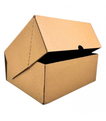ΧΑΡΤΟΚΙΒΩΤΙΟ E-SHOP 25x20x10 cm ΚΡΑΦΤ 50 ΤΕΜΑΧΙΑ
