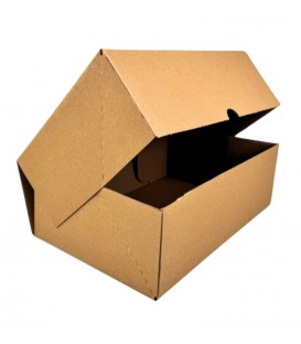 ΧΑΡΤΟΚΙΒΩΤΙΟ E-SHOP 30x20x10 cm ΚΡΑΦΤ 50 ΤΕΜΑΧΙΑ