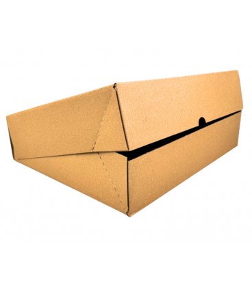 ΧΑΡΤΟΚΙΒΩΤΙΟ E-SHOP 38x29x8,5 cm ΚΡΑΦΤ 50 ΤΕΜΑΧΙΑ